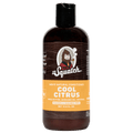 Conditioner Subscription - 1 Bottle - Put Fresh on Repeat