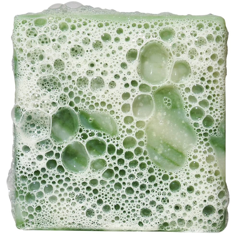 Cool Fresh Aloe Mini - Wash Hard and Rinse Clean