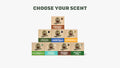 Bar Soap 8-Pack - Stay Ready After Every Wash