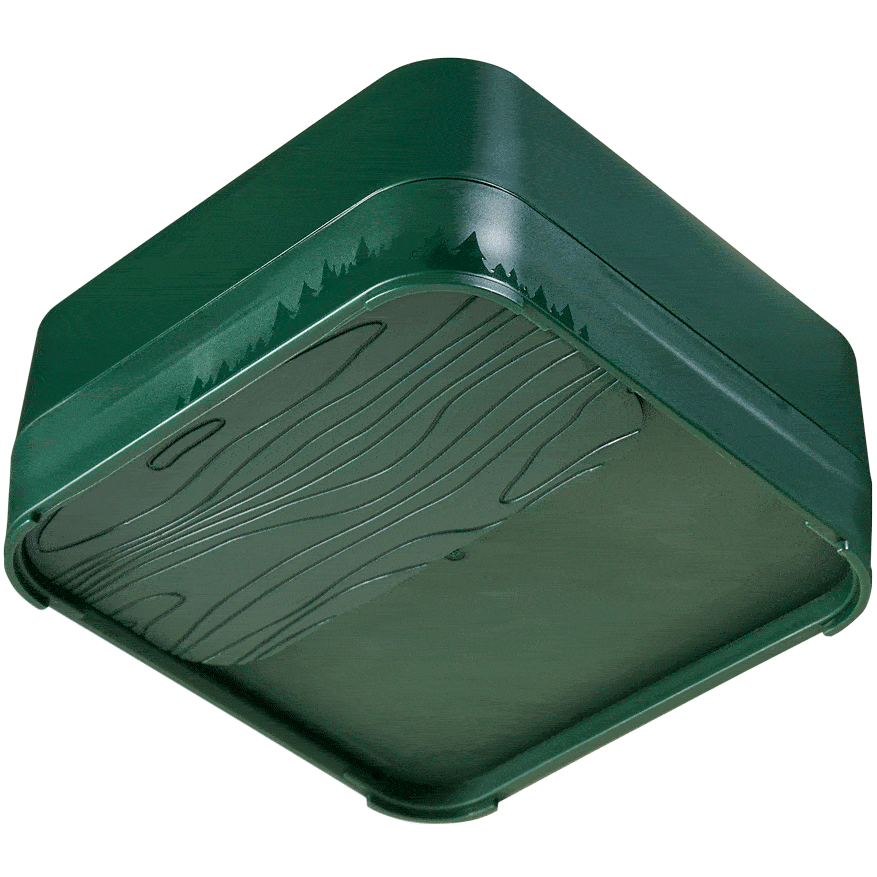 Free Travel Case! - Fresh Without the Fuss