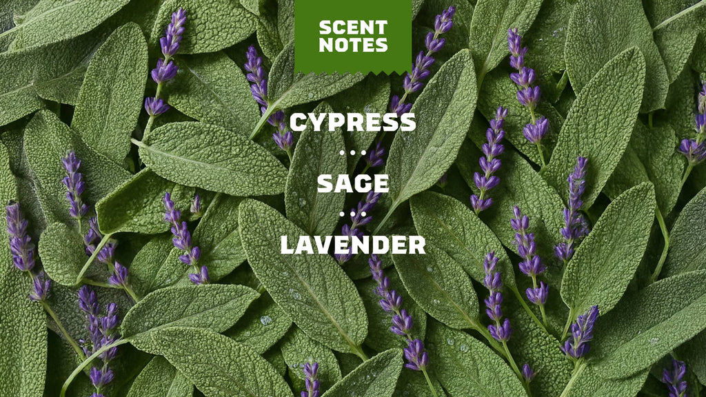 Alpine Sage Deodorant - Stay Fresh After the Shower