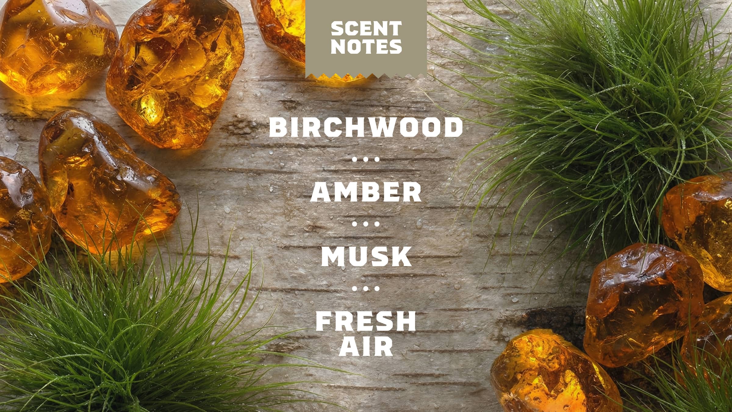 14 oz Birchwood Breeze Body Wash - Make Your Wash Worth It