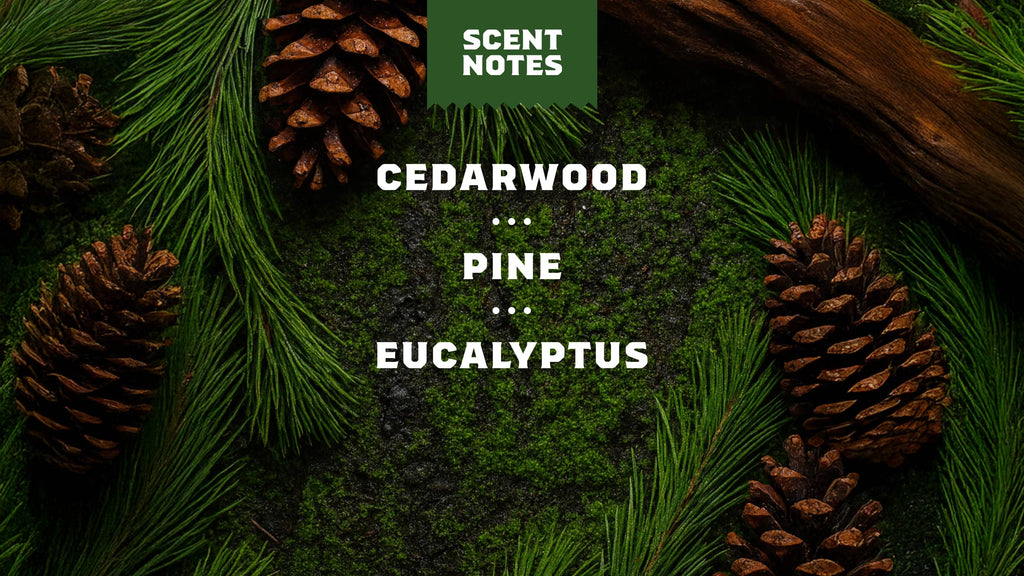 Conditioning Beard Oil & Cologne Woodland Pine - Fresh Scent With No Fuss