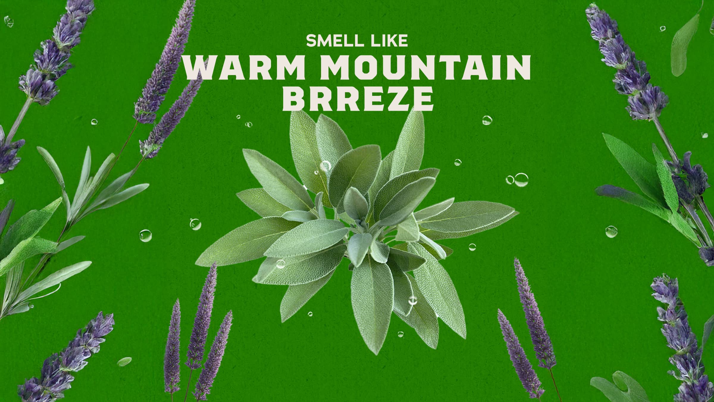 Alpine Sage - Wash Better and Smell Better