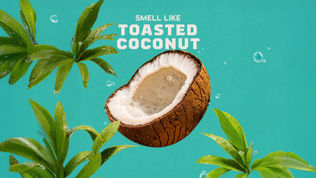 14 oz Coconut Castaway Body Wash - Fresh Enough for Anything