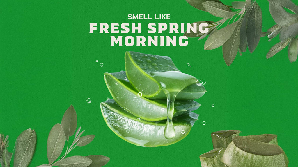 Cool Fresh Aloe Exfoliating Face Wash - Fresh Skin Strong Start