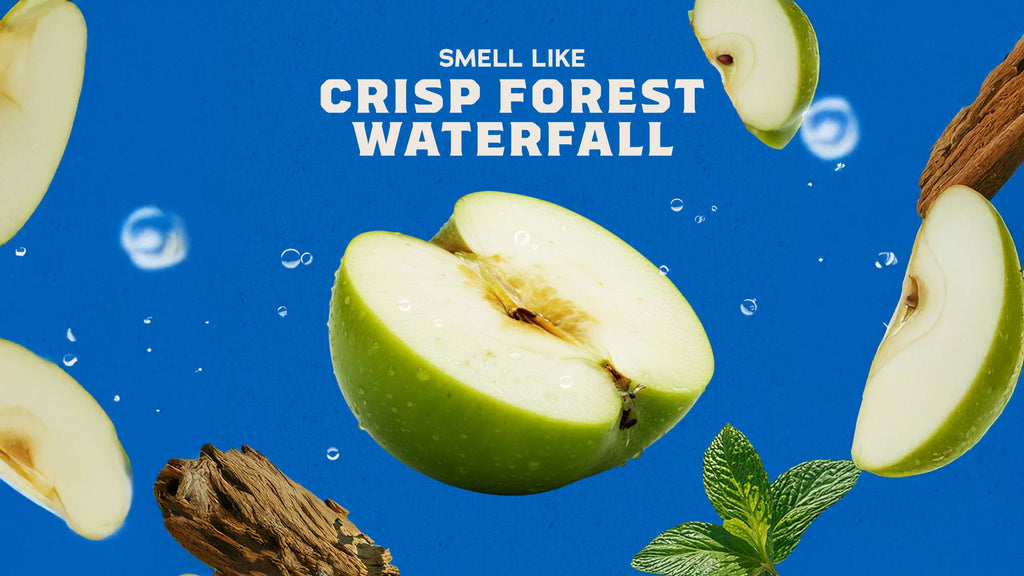 14 oz Fresh Falls Body Wash - Get Fresh Fast