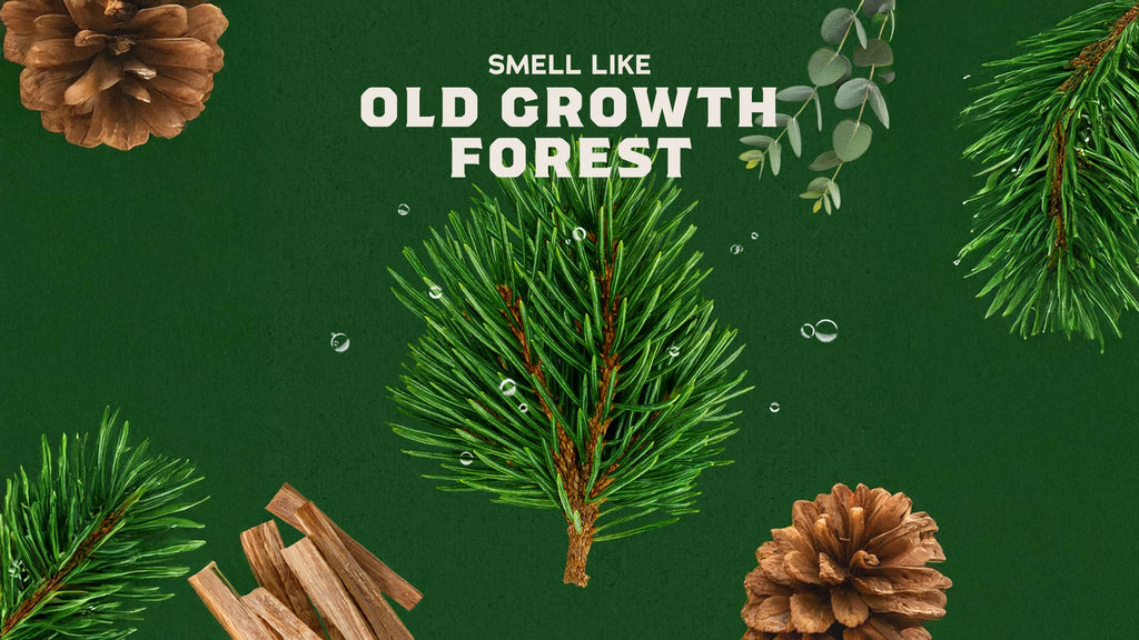 14 oz Pine Tar Body Wash - Good Soap for Good Days