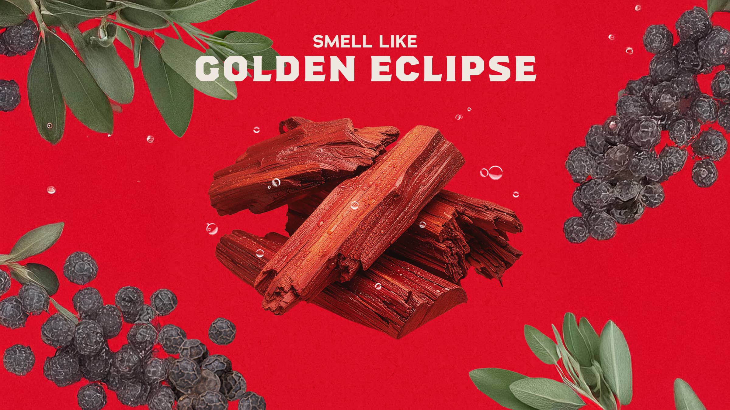 Sandalwood Summit - Soap Built for Daily Grind