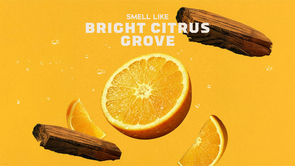 Summer Citrus Hand Soap - Freshen Up Before You Go