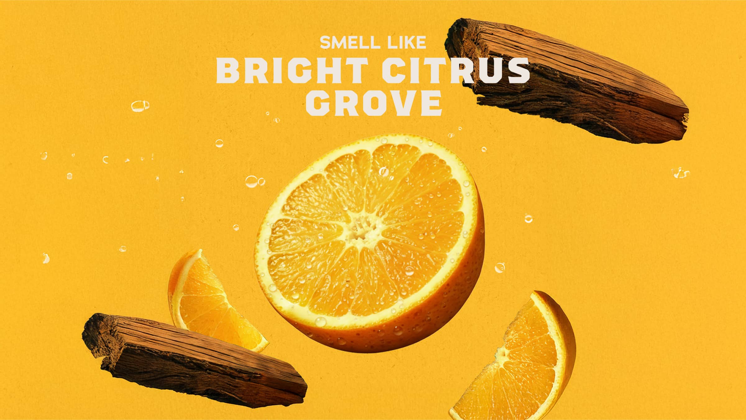 Summer Citrus Conditioner - Make Your Morning Fresh